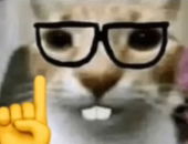 Niwa