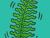 Wobblefern
