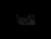 SSLUT4BBC