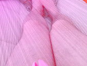 TheSissyServant92