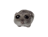 8inchfemboy