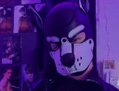 Puppymouse