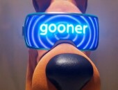 ScoobyGooner