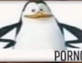 Profj