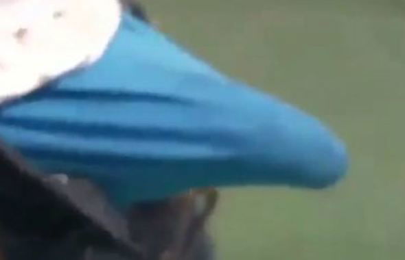 thumb