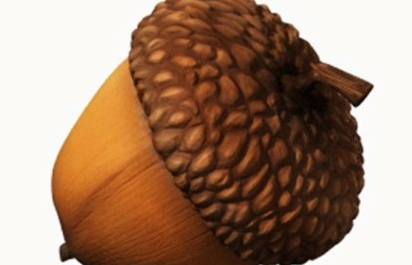 thumb
