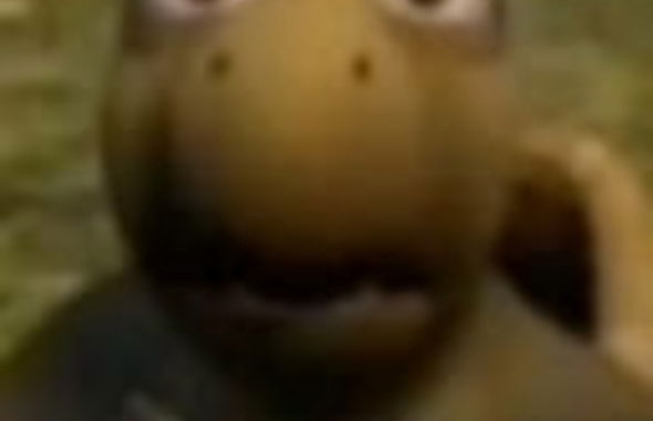 thumb