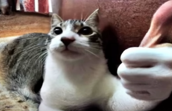 thumb