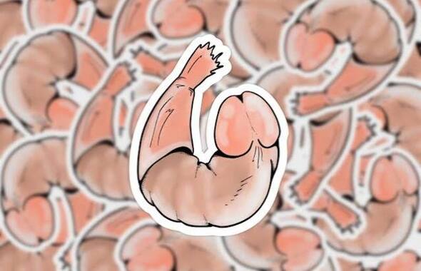 thumb