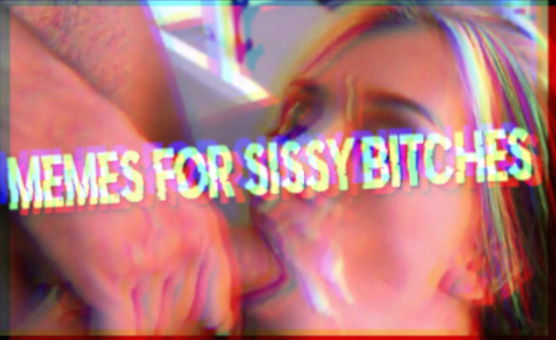 Memes For Sissy Bitches