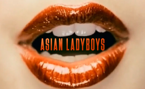 Asian Ladyboys 