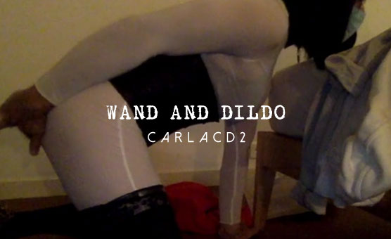 Wand And Dildo