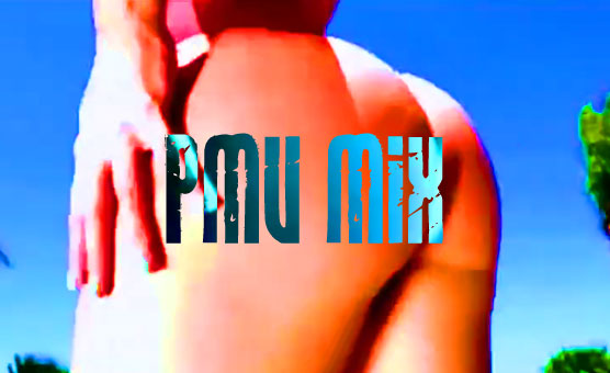 PMV Mix - LeMark13