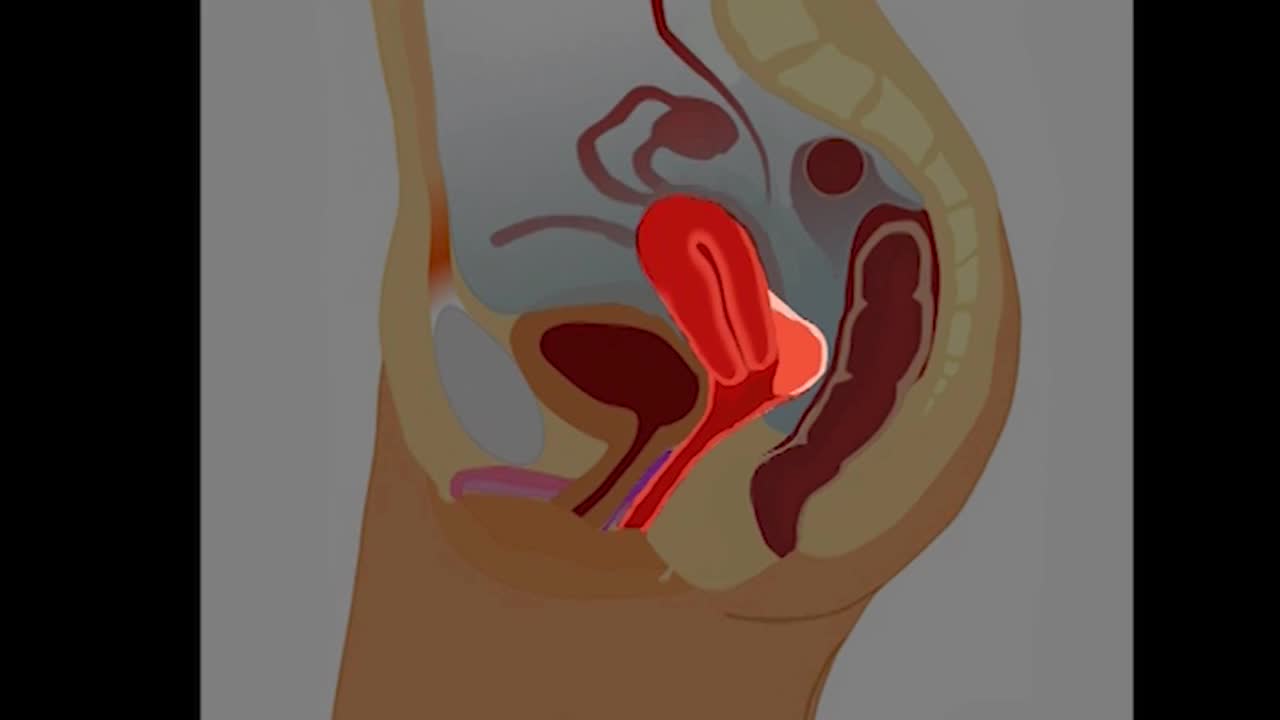 AF Narrated Couples Guide Vol 1 - A Woman's Body And BBC - Videos -  Hypnotube