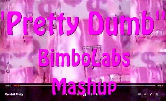 Pretty Dumb BimboLabs - Audio Mashup