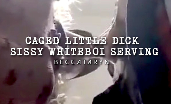 Caged Little Dick Sissy Whiteboi Serving