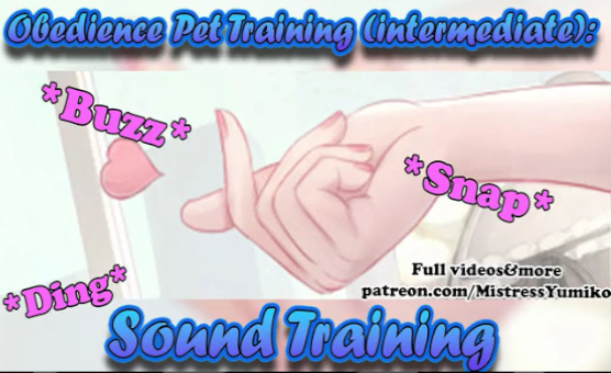 Obedience Pet Training - Intermediate - Sound Training