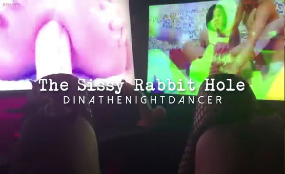 The Sissy Rabbit Hole