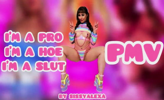 Im A Pro Im A Hoe Im A Slut - PMV