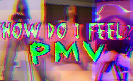 How Do I Feel PMV