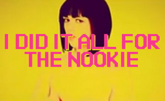 I Did It All For The Nookie
