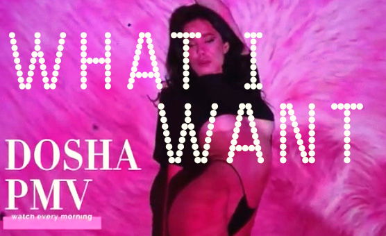 What I Want - PMV By Dosha