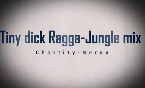 Tiny Dick Ragga Jungle Mix