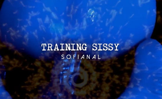 Training Sissy