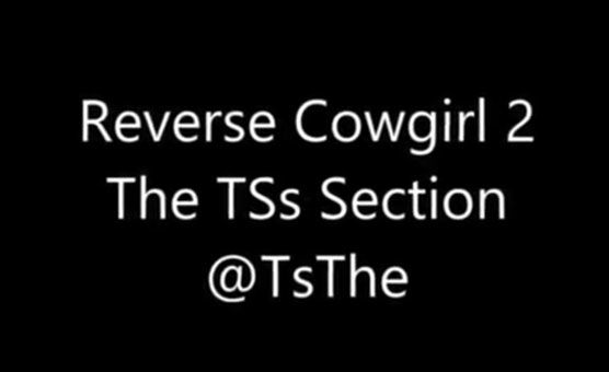 Reverse Cowgirl 2 - The TS Section