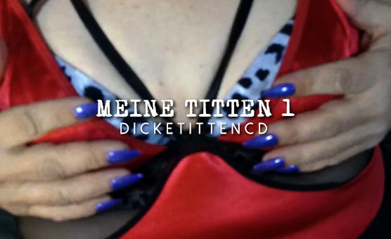 Meine Titten 1