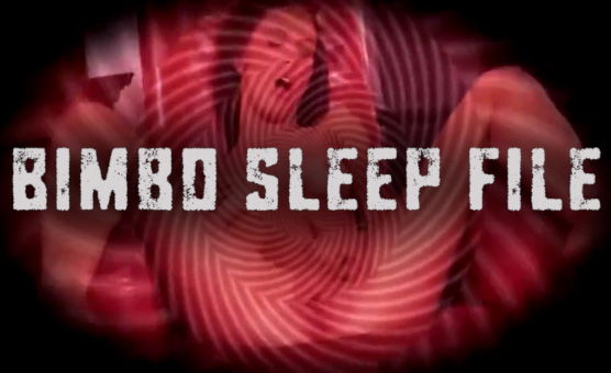 Bimbo Sleep File