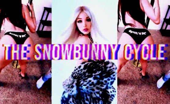 The Snowbunny Cycle