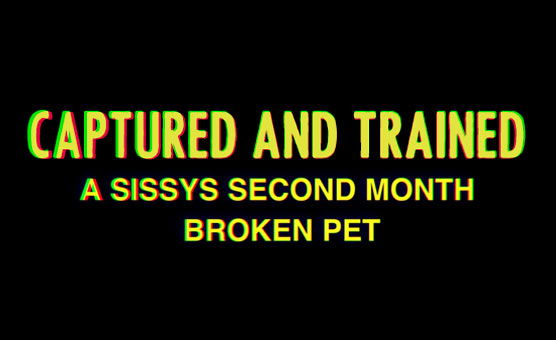 Captured And Trained - Sissy Caption Story - Part 2