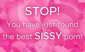 Stop You Have Just Found The Best Sissy Porn - BDSM MILF Femdom Compilation