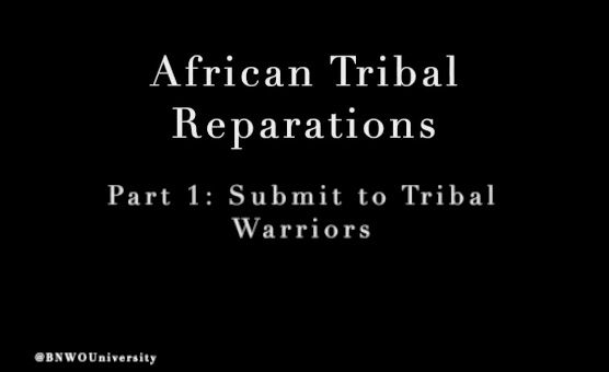 African Tribal Reparations  -  Part 1 - Submit To Tribal Warriors