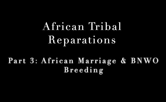 African Tribal Reparations - Part 3 - African Marriage And BNWO Breeding