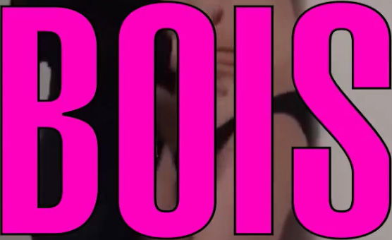 Bois - BNWO PMV