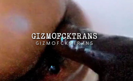 Gizmofckstrans