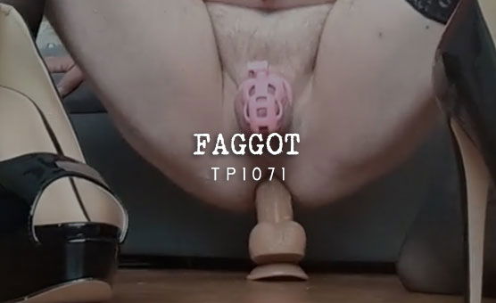 Faggot