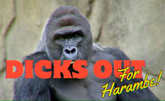 Dicks Out