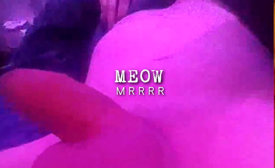 Meow