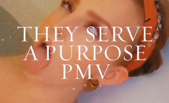 They Serve A Purpose PMV
