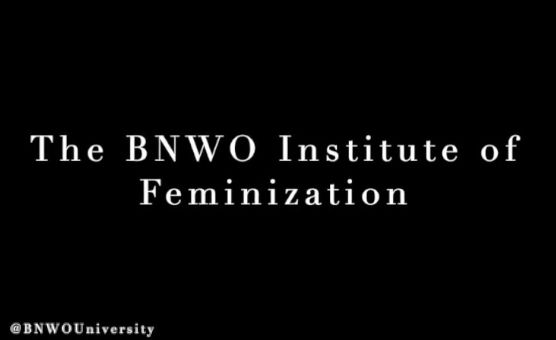 The BNWO Institute Of Feminization