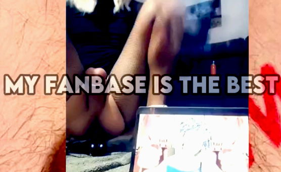 My Fanbase Is The Best