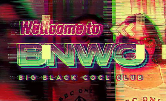 Welcome To BNWO - PMVGO