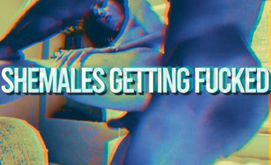 Shemales Getting Fucked