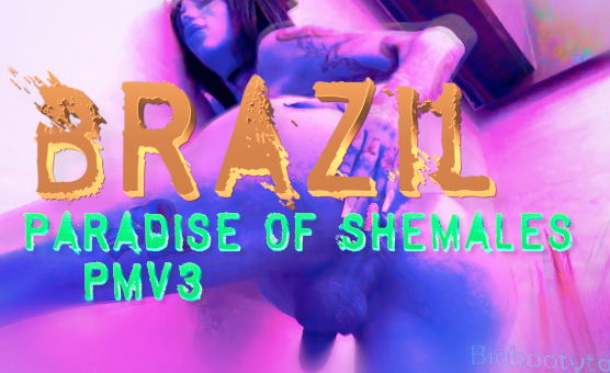 Brazil Paradise Of Shemales PMV 3
