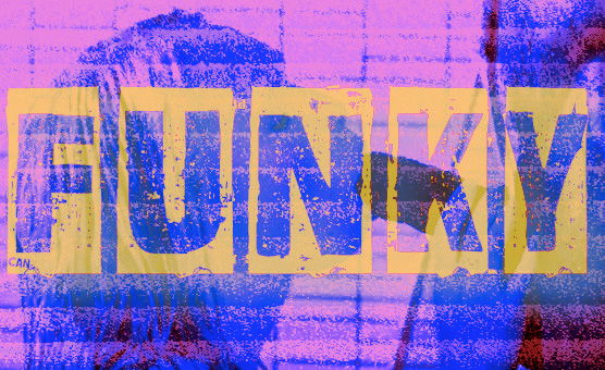 Funky BBC PMV