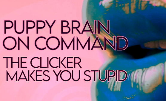 Puppy Brain On Command - The Clicker Makes You Stupid