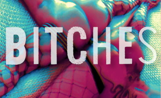 Bitches - PMV